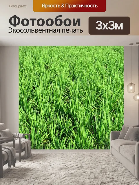 Фотообои Пэдди