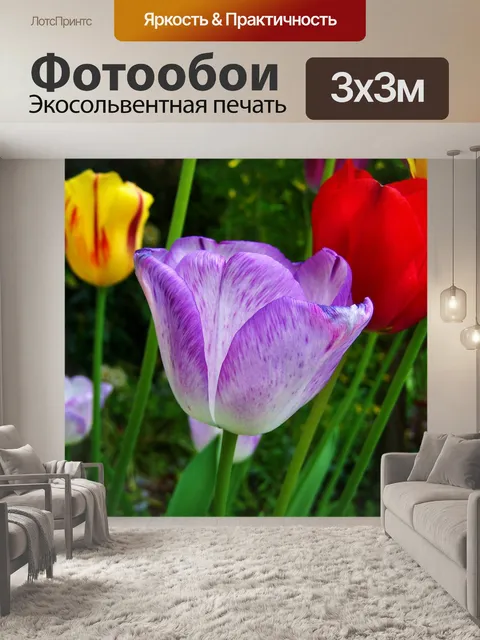 Фотообои Фиолетовый