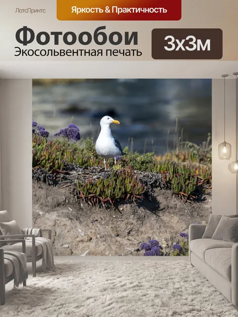 Фотообои чайка