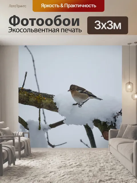 Фотообои Птица