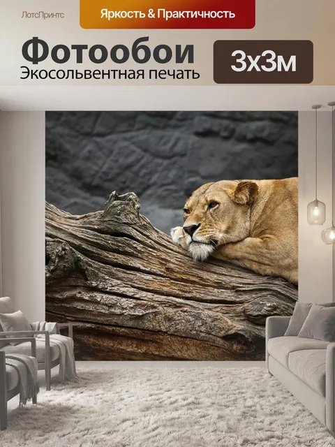 Фотообои Львица