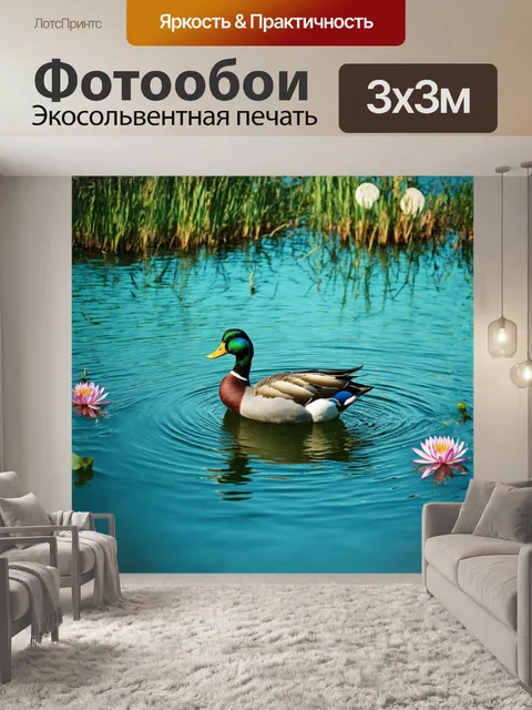 Фотообои мускусная утка с эффектом длинной выдержки, плавно скользит по поверхности озера, оставляя за собой следы