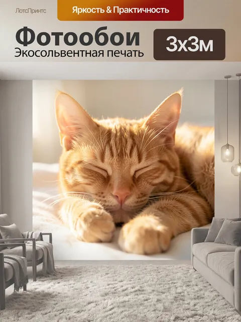 Фотообои Спящий рыжий котенок