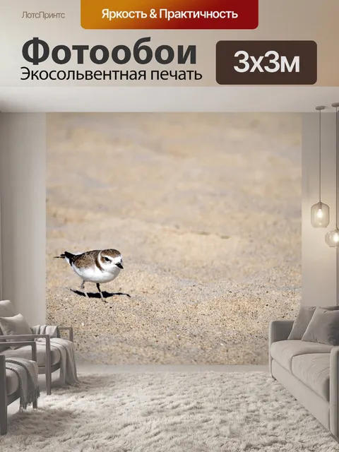Фотообои Прогулка по снежному плугу