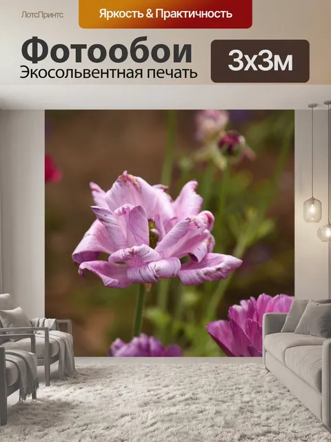 Фотообои Завитые лепестки цветка лютика