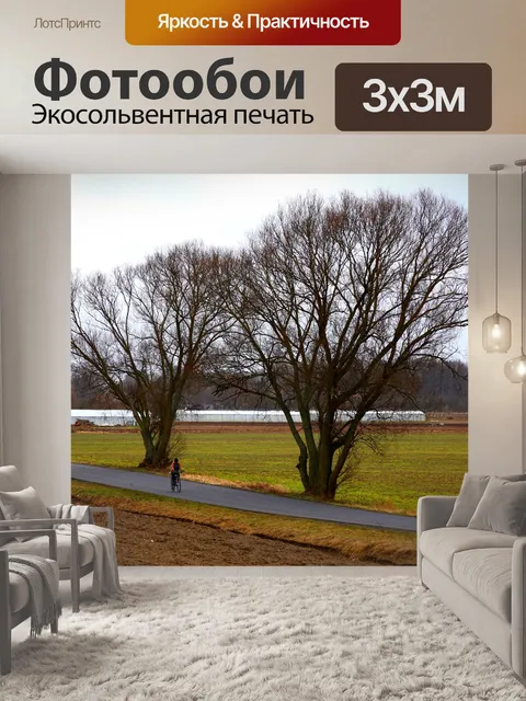 Фотообои Деревня