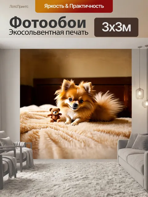 Фотообои померанский шпиц, уютно устроившийся на мягком пледе в уютной комнате, играет с маленькой игрушкой в виде…