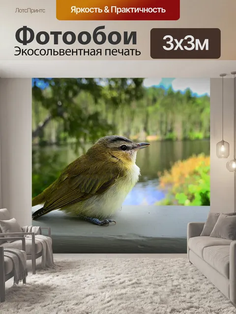 Фотообои Птица