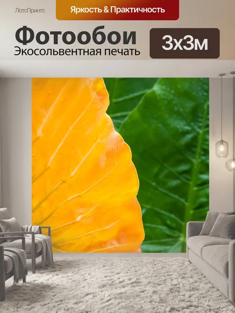 Фотообои мокрый желтый и зеленые листья