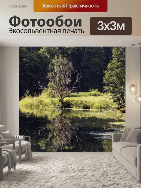 Фотообои Болото
