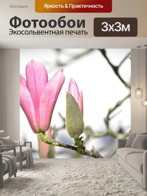 Фотообои Магнолии