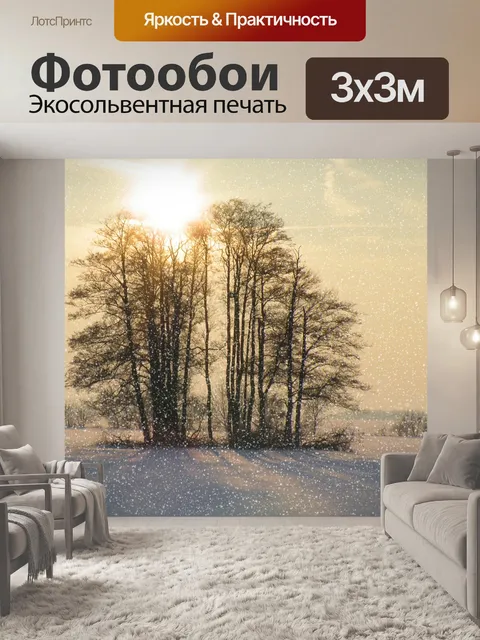 Фотообои Зимние впечатления