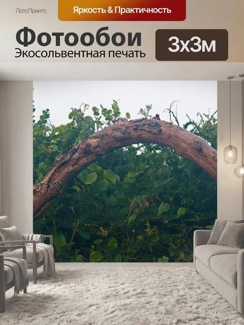 Фотообои гнутая ветка дерева и зеленых растений
