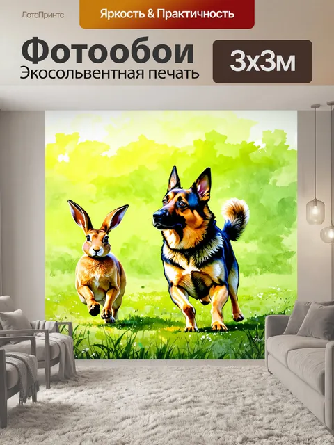 Фотообои немецкая овчарка, внимательно наблюдающая за бегающим зайцем на фоне зеленого поля, освещенного утренним…