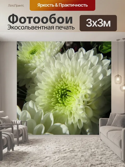 Фотообои Расцветает