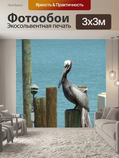 Фотообои Пеликан
