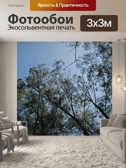 Фотообои Верхушки деревьев на фоне голубого неба