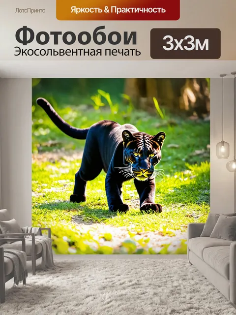 Фотообои пантера, играющая с игривым светом солнечных лучей