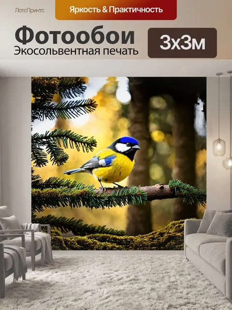 Фотообои большая синица покоится на ветке, ее яркое желто-синее оперение контрастирует с темно-зелеными листьями леса