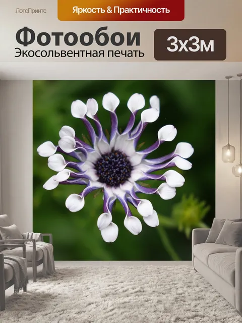 Фотообои Ботаника
