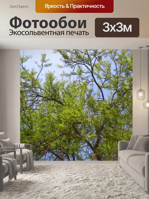 Фотообои шип с новыми листьями