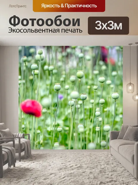 Фотообои Маковые капсулы
