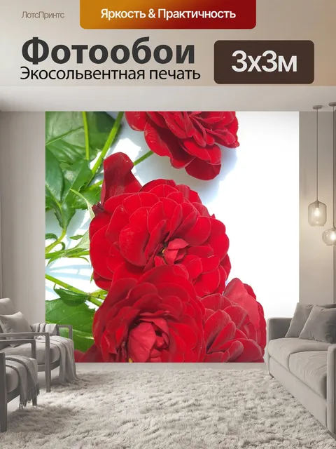 Фотообои Красные розы