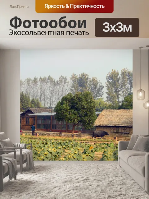 Фотообои Китай