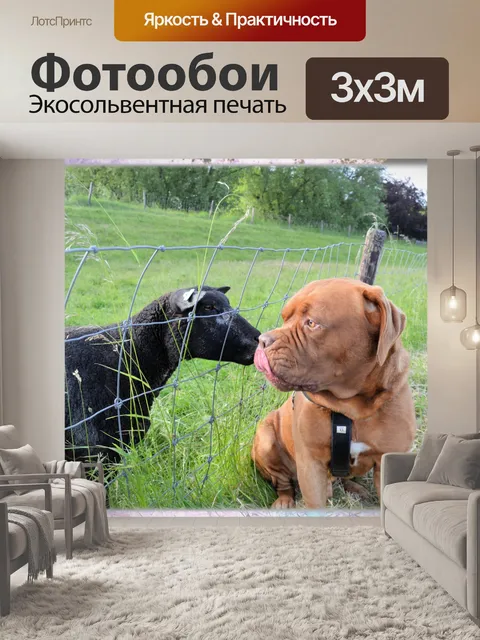 Фотообои Поцелуй 3