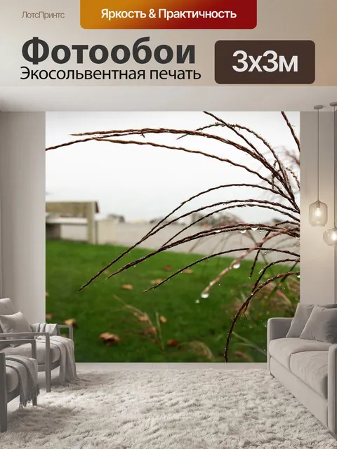 Фотообои Трава