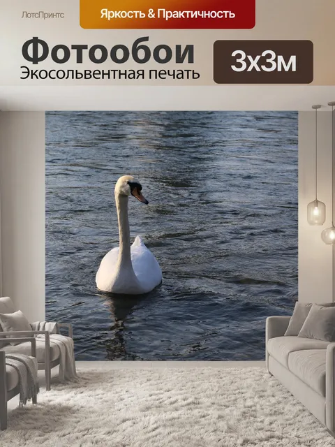 Фотообои Лебедь