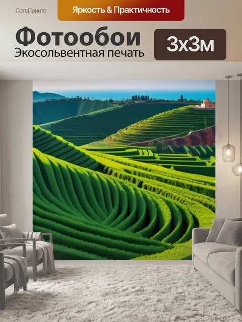 Фотообои пейзаж с террасы красивый