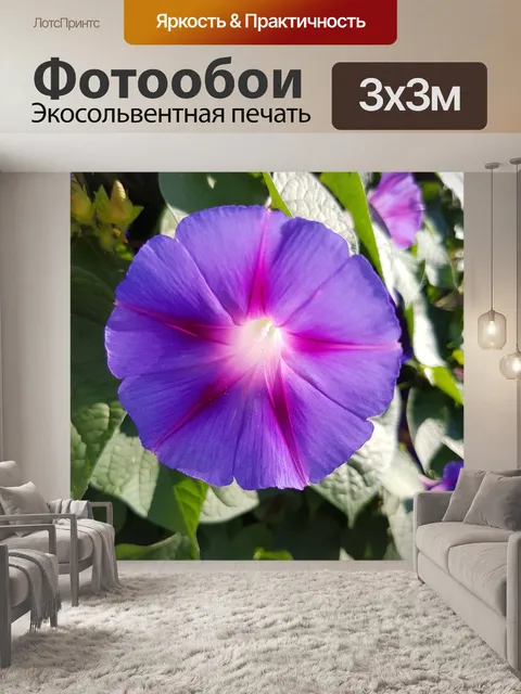 Фотообои Цветок