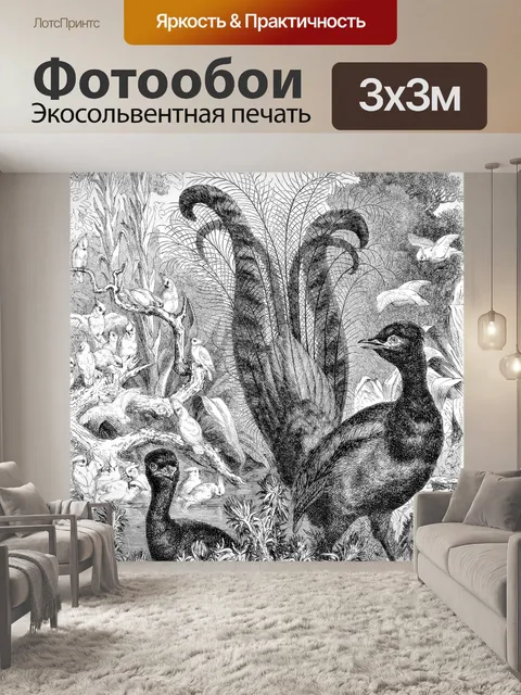 Фотообои Лира Птица