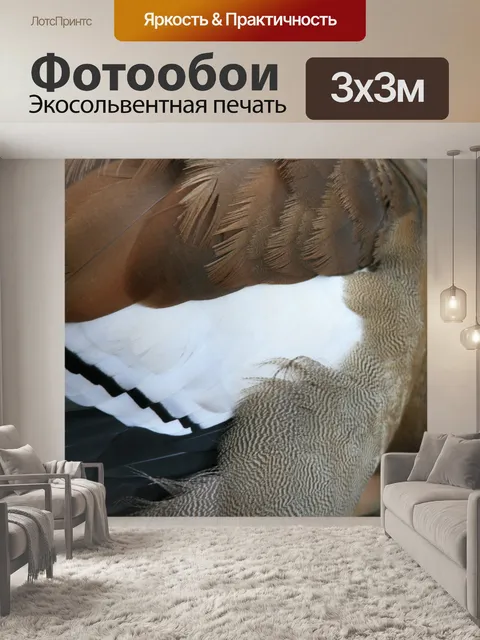 Фотообои перья египетского гуся