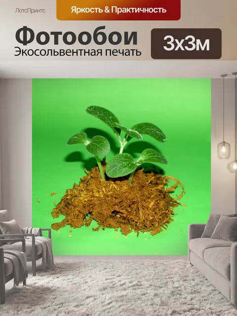 Фотообои Молодое дерево