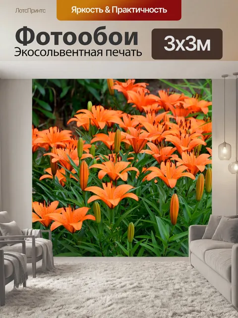 Фотообои яркие азиатские лилии