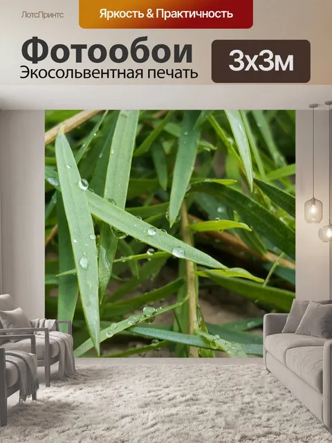 Фотообои Капли дождя на зеленых листьях