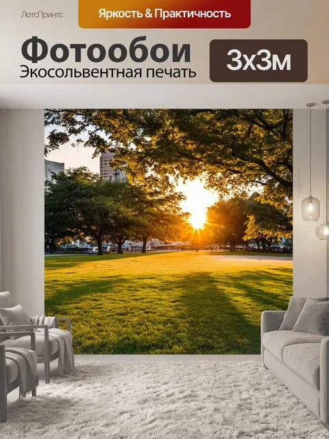 Фотообои закат в городском парке