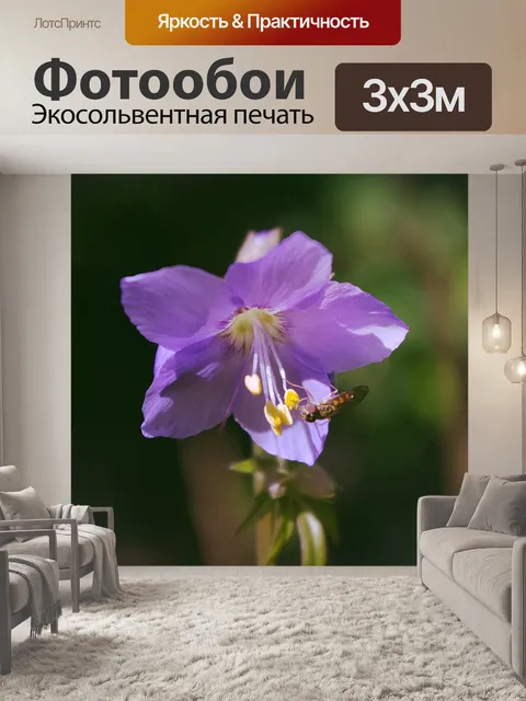 Фотообои Лестница якоба