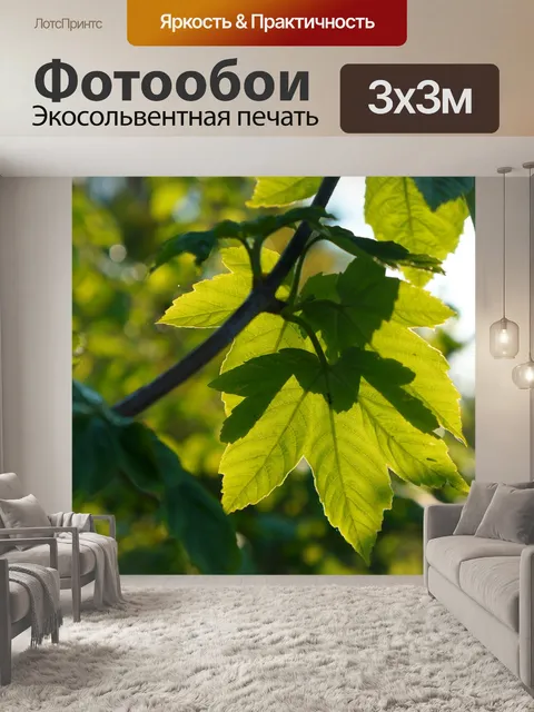 Фотообои Природа