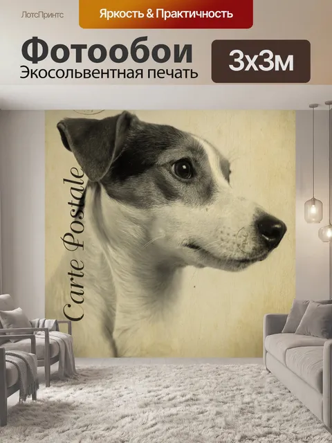 Фотообои Винтажная открытка для собак
