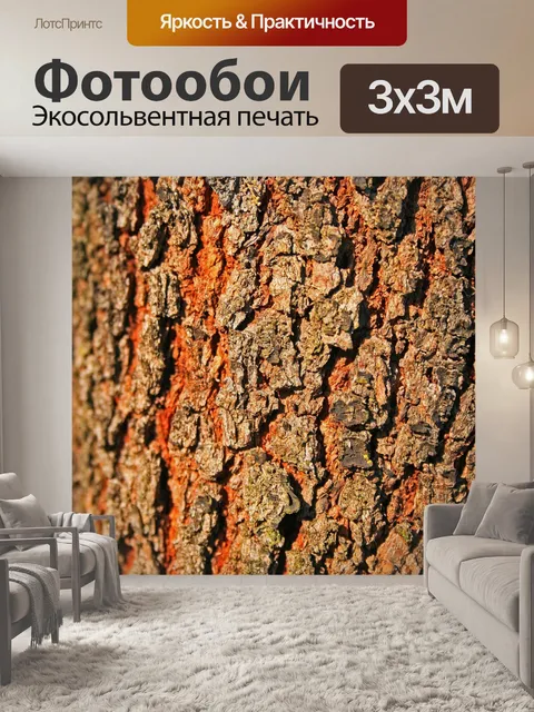 Фотообои Кора дерева закрыть