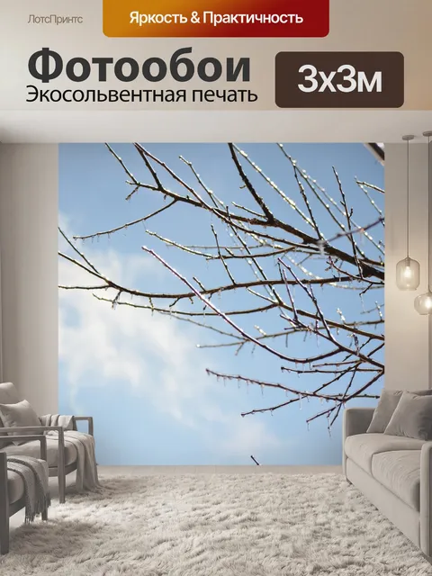 Фотообои Небо Ледяной Ветви