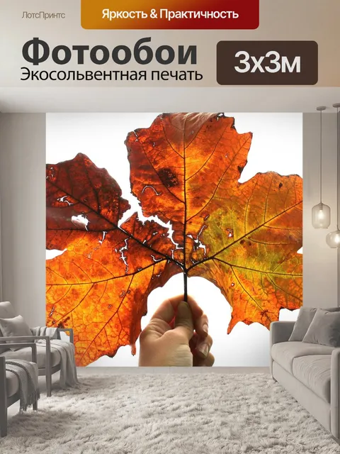 Фотообои Лист