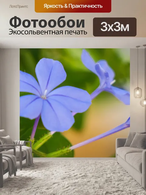 Фотообои Голубой цветок дэн
