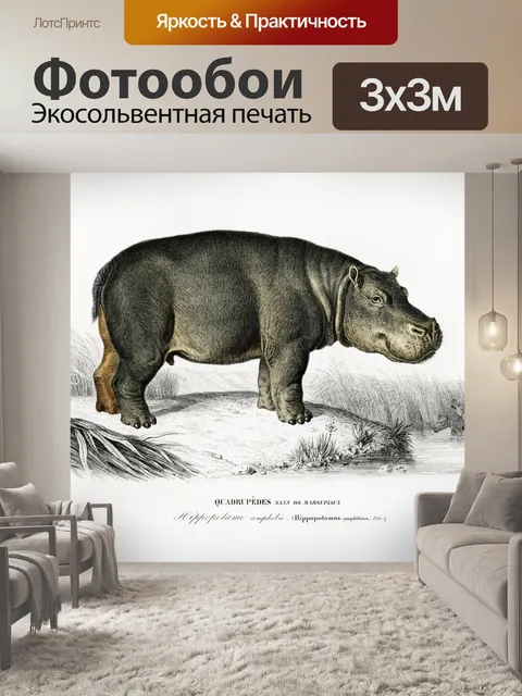 Фотообои Бегемот дикое животное Африка винтаж