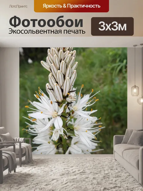 Фотообои Гора