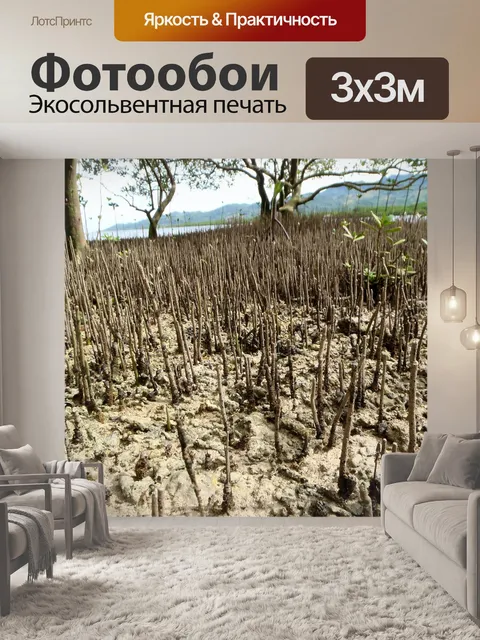 Фотообои Пляж