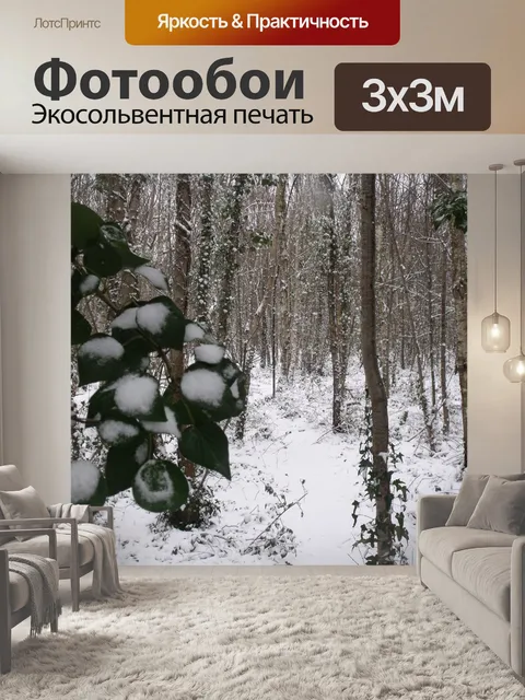 Фотообои Зимние Вудс 2